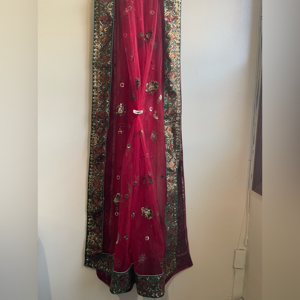 Indian/Bengali Lehenga Choli/Blouse Set View 5